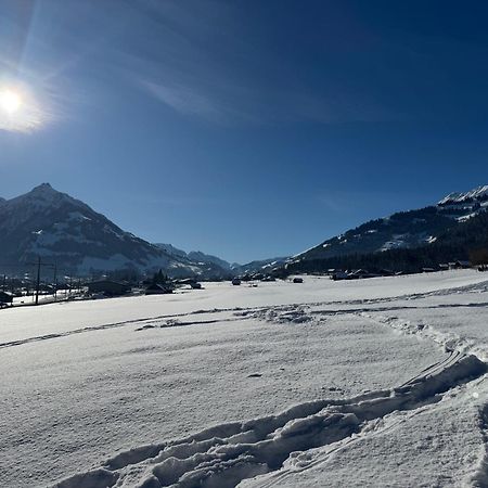 Edelweiss 4 Zi Ferienwohnung In Landhaus Frutigen Esterno foto