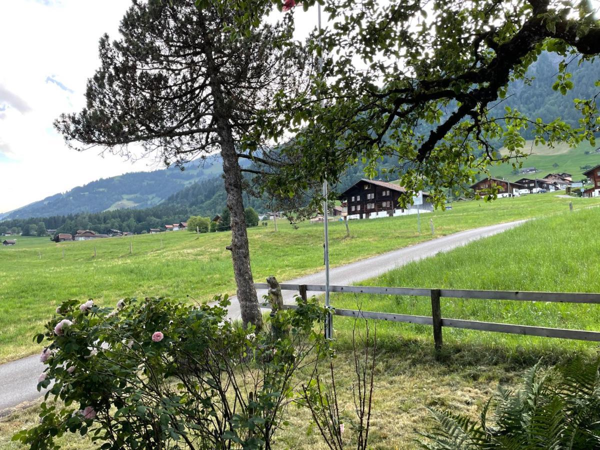 Edelweiss 4 Zi Ferienwohnung In Landhaus Frutigen Esterno foto