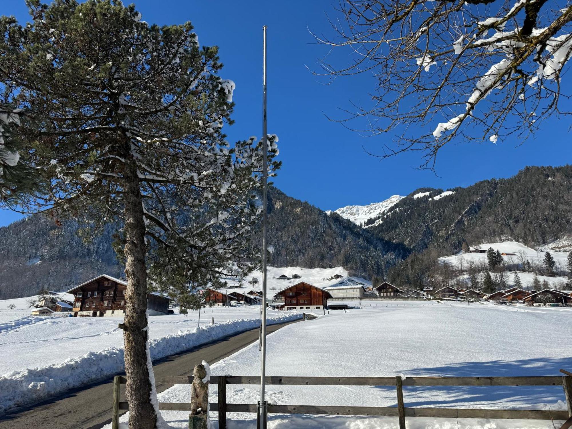 Edelweiss 4 Zi Ferienwohnung In Landhaus Frutigen Esterno foto